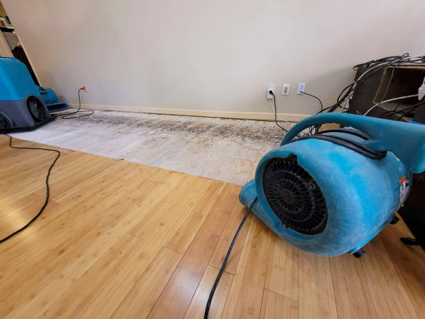 Professional Basement Flood Cleanup technician working in Springdale, NC